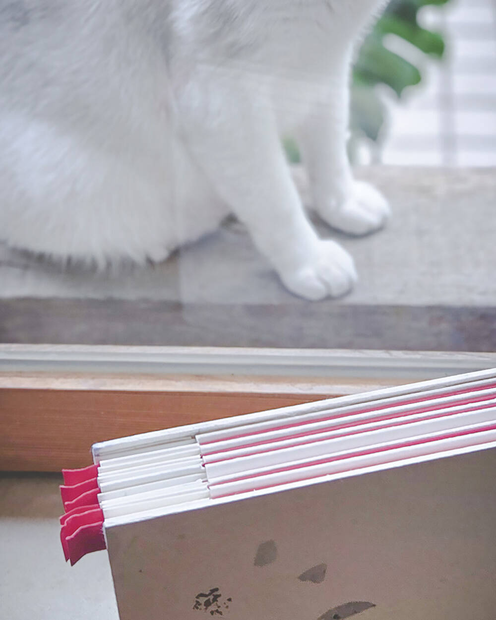 20260427_163322 - 20260427 163322 uai