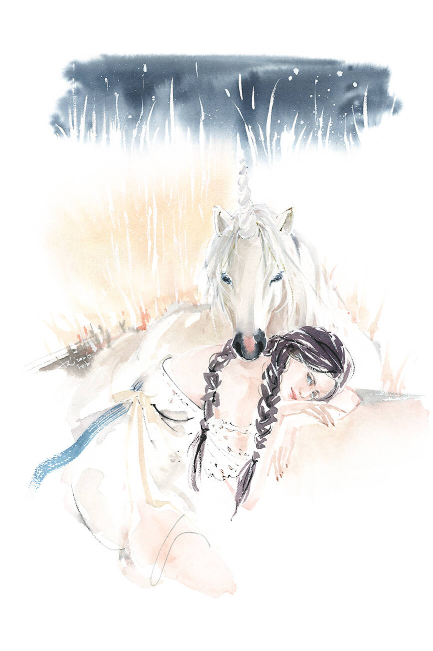 Portfolio - 479 horse uai